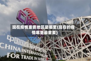 现在疫情重要地区是哪里(现在的疫情哪里最重要)