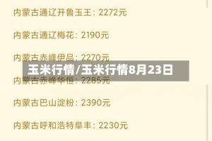 玉米行情/玉米行情8月23日