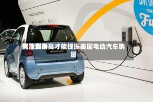 汽油费用需涨到多高才能提振美国电动汽车销量
