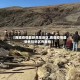 【西藏疫情最新危险地区,西藏疫情最新危险地区有哪些】
