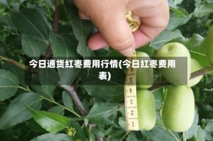 今日通货红枣费用行情(今日红枣费用表)