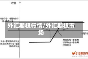 外汇期权行情/外汇期权市场