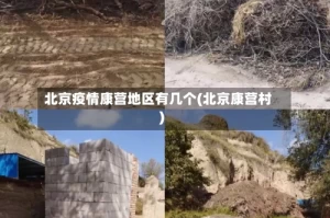 北京疫情康营地区有几个(北京康营村)
