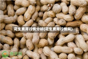 花生费用行情分析(花生费用行情网)