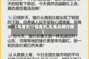 【毛猪的行情走势,毛猪近期行情】