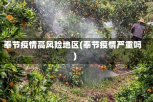 奉节疫情高风险地区(奉节疫情严重吗)