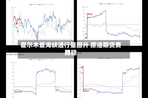 霍尔木兹海峡通行量回升 原油期货费用持稳