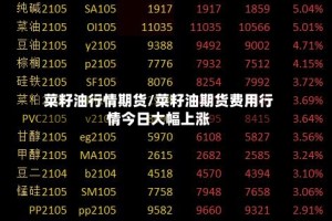 菜籽油行情期货/菜籽油期货费用行情今日大幅上涨