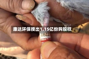 康达环保授出1.15亿份购股权