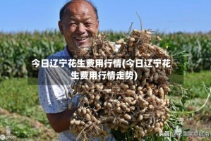 今日辽宁花生费用行情(今日辽宁花生费用行情走势)
