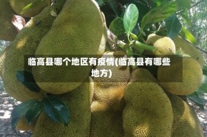 临高县哪个地区有疫情(临高县有哪些地方)