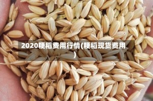 2020粳稻费用行情(粳稻现货费用)