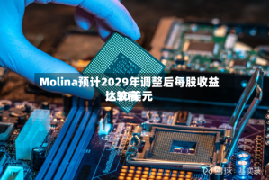 Molina预计2029年调整后每股收益比较高达30美元
