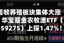 畜牧养殖板块集体大涨，华宝基金农牧渔ETF（159275）上探1.47%！估值低位反转将至？