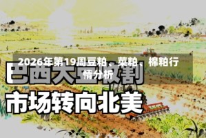 2026年第19周豆粕、菜粕、棉粕行情分析