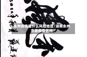 永州疫情是什么风险地区/湖南永州市是疫情区吗