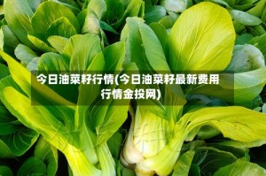 今日油菜籽行情(今日油菜籽最新费用行情金投网)