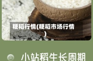 粳稻行情(粳稻市场行情)