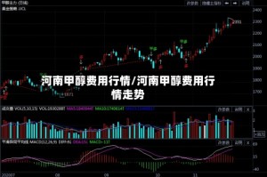 河南甲醇费用行情/河南甲醇费用行情走势