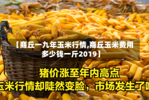 【商丘一九年玉米行情,商丘玉米费用多少钱一斤2019】