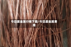 今日废金属行情下载/今日废金属费用