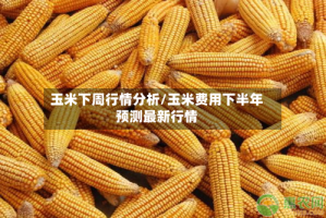 玉米下周行情分析/玉米费用下半年预测最新行情