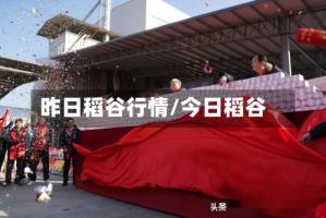 昨日稻谷行情/今日稻谷