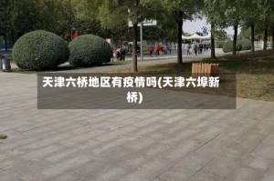 天津六桥地区有疫情吗(天津六埠新桥)