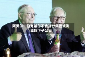 阿贝尔：伯克希尔不会拆分集团或剥离旗下子公司