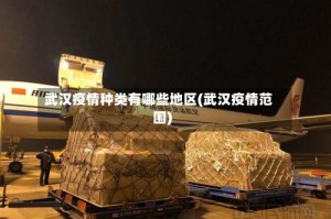 武汉疫情种类有哪些地区(武汉疫情范围)