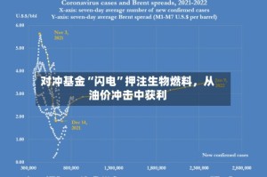 对冲基金“闪电”押注生物燃料，从油价冲击中获利
