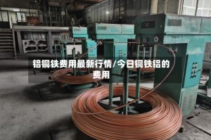 铝铜铁费用最新行情/今日铜铁铝的费用