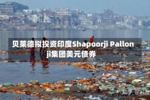 贝莱德拟投资印度Shapoorji Pallonji集团美元债券