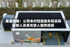 隆基绿能：公司未对控股股东和实际控制人及其关联人提供担保