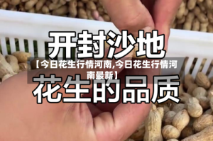 【今日花生行情河南,今日花生行情河南最新】