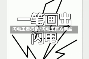 闪电王看行情/闪电王官方网站