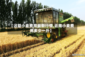 【沾益小麦费用最新行情,云南小麦费用多少一斤】