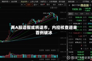两A股造假或将退市，内控核查迎来首例破冰