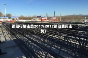 钢筋行情走势2017(2017钢筋费用走势)