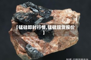 【锰硅即时行情,锰硅现货报价】