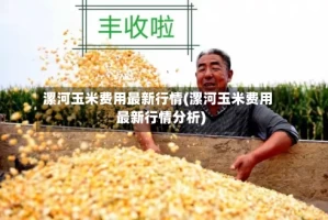 漯河玉米费用最新行情(漯河玉米费用最新行情分析)