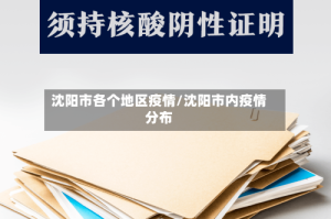 沈阳市各个地区疫情/沈阳市内疫情分布