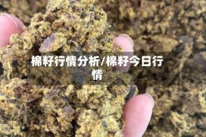 棉籽行情分析/棉籽今日行情