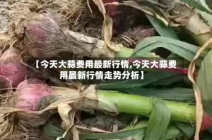 【今天大蒜费用最新行情,今天大蒜费用最新行情走势分析】
