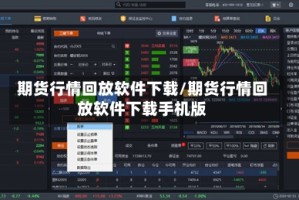 期货行情回放软件下载/期货行情回放软件下载手机版