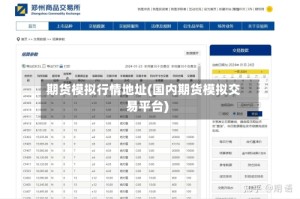 期货模拟行情地址(国内期货模拟交易平台)