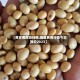 【黄豆费用及行情,黄豆费用行情今日报价2023】