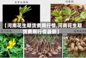【河南花生期货费用行情,河南花生期货费用行情最新】