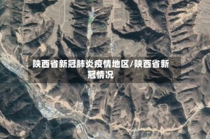 陕西省新冠肺炎疫情地区/陕西省新冠情况