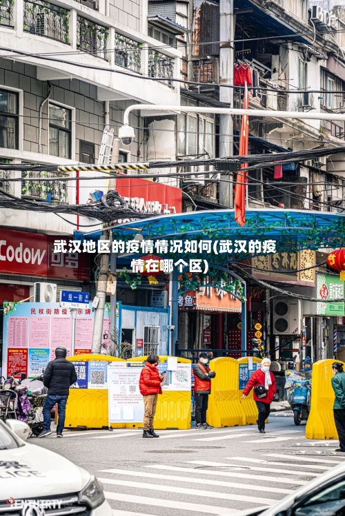 武汉地区的疫情情况如何(武汉的疫情在哪个区)-第1张图片
